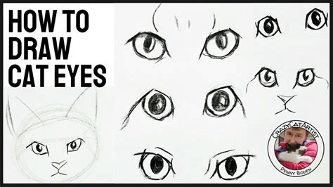 How To Draw Cat Eyes Simply Beautiful Realistically Expressive