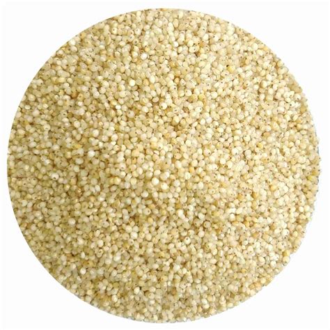 Barnyard Millet Grains Organic 500gm Barnyard Millet Millet Amma