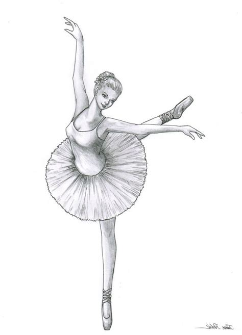 Image Result For Ballerina Drawing Ballerina Drawing Drawings Ballerina