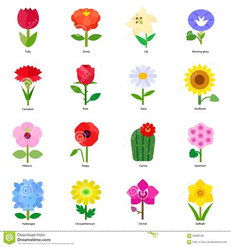 Dgstoreuk offers edible petals and edible flowers in uk with free delivery across uk. Flowers stock vector. Illustration of icon, tulip ...