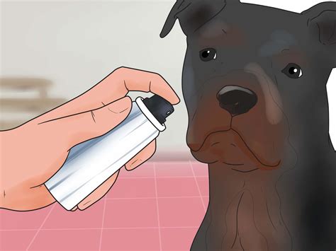 Find out what you can do to rid your cat of flaky skin. Expert Advice on How to Reduce Excessive Shedding in Dogs