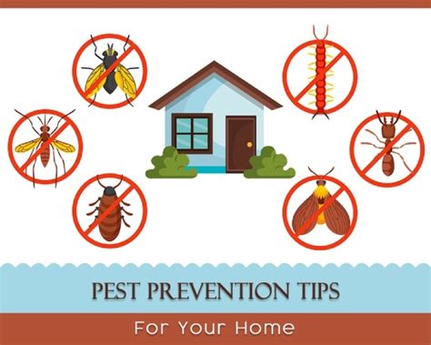 In Order To Clean Effectively And Prevent Pest Infestation
