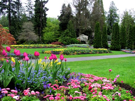 Stanley Park Vancouver Canada | Stanley park vancouver, Vancouver canada, Stanley park