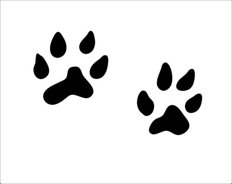 Weasel Tracks Weasel Foot Paw Print Animal Zoo Wild Pet Cut Etsy