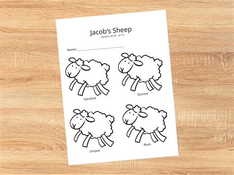 Jacobs Sheep Sunday School Craft Activity For Toddlers And
