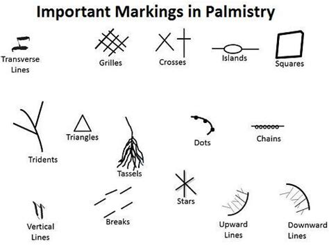 Palmistry For Dummies Read Your Own Palm Naomi D Souza Writer