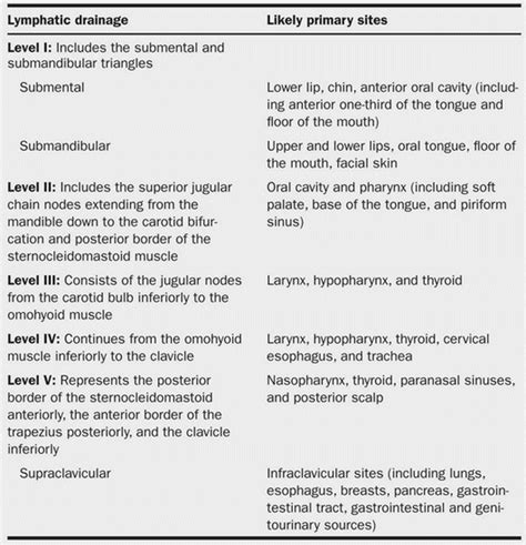 Cervical Nodes Drain Best Drain Photos Primagemorg