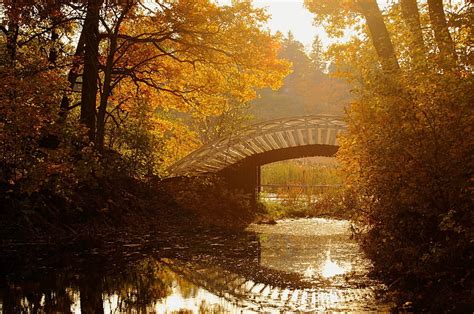 Autumn Riverside Fall Leaves Bridge River Season Trees Hd