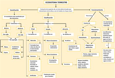 Mapas Conceptuales Ecosistemas Terrestres Descargar 10404 The Best