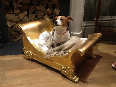 Fancy Dog Beds Designs For The Comfort Of Your Beloved Pet