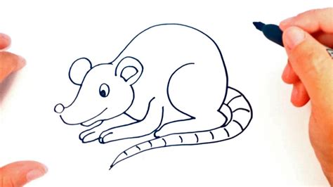 Cómo dibujar una Rata paso a paso Dibujo fácil de Rata Easy