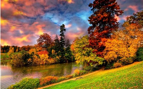 Autumn Trees Along The Lake Image Abyss