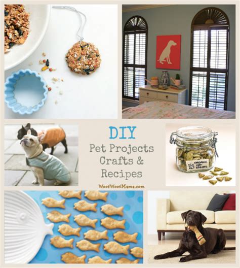 7 Diy Pet Projects Crafts And Recipes Woof Woof Mama