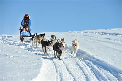 Puppy Love Alaskas Sled Dogs Travel Alaska