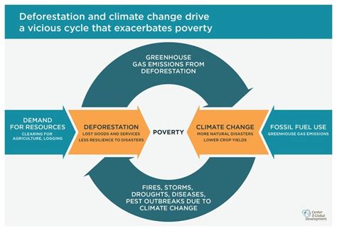 Understand the link between poverty and climate change and why we can't solve one without addressing the other. Forests and Poverty: Barking Up the Wrong Tree? | Center ...