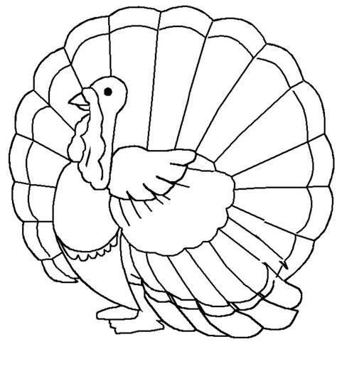 Realistic Turkey Coloring Pages