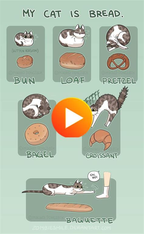 Cat Bread By Zombiesmile On Deviantart Cute Cat Memes Cat Memes Cats