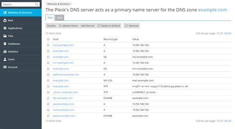 Select custom as server type under domain nameserver. Plesk as a Master DNS Server | Plesk Onyx documentation