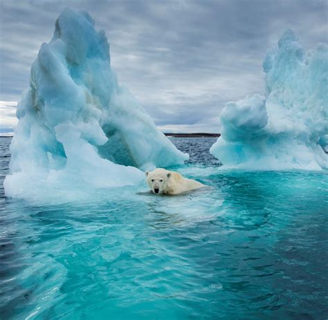Arktis als Geschichtsbuch: Welche Spuren die Pest im Eis hinterließ - WELT