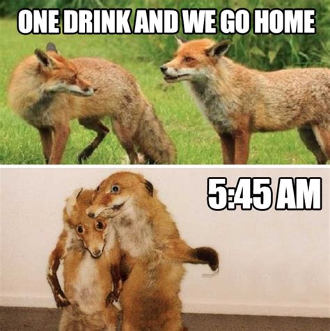 30 Very Funny Alcohol Meme Pictures And Photos