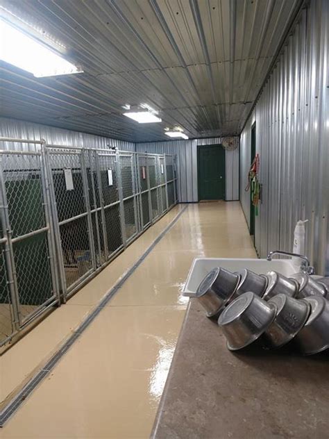 Commercial Dog Kennels 6 Essential Quality Features Artofit