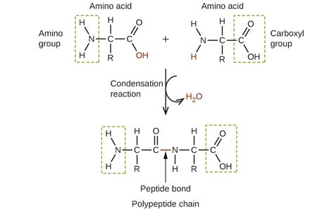 102 Functional Groups Chem 1114 Introduction To Chemistry