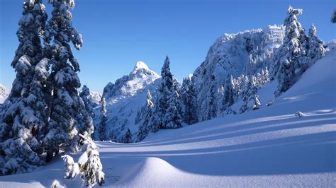 Wallpaper North Shore Mountains Vancouver Thick Snow Trees Winter