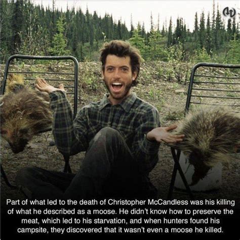 Everything That Had To Go Wrong For Chris Mccandless To Meet His Fate