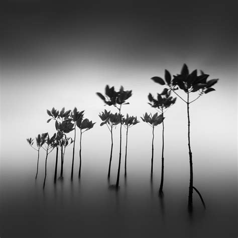 Best Black And White Photos From The Nd Awards 2016 Monovisions Black And White Photography Magazine