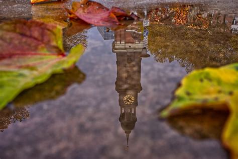 8 Great Tips And Tricks For Taking Awesome Puddle Photos Contrastly