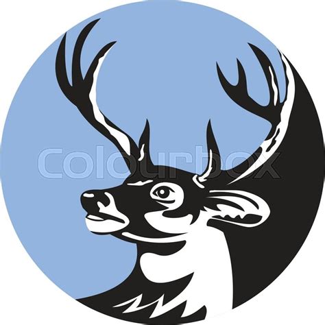 Whitetail Deer Head Vector At Getdrawings Free Download