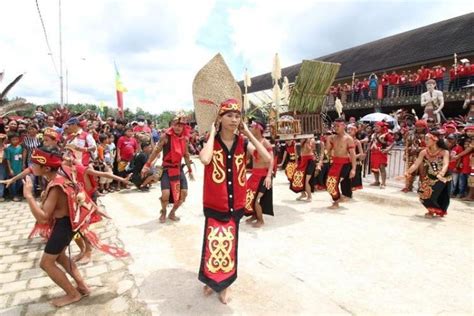 Foto Naik Dango Tradisi Suku Dayak Kanayatn Asal Usul Tujuan Dan