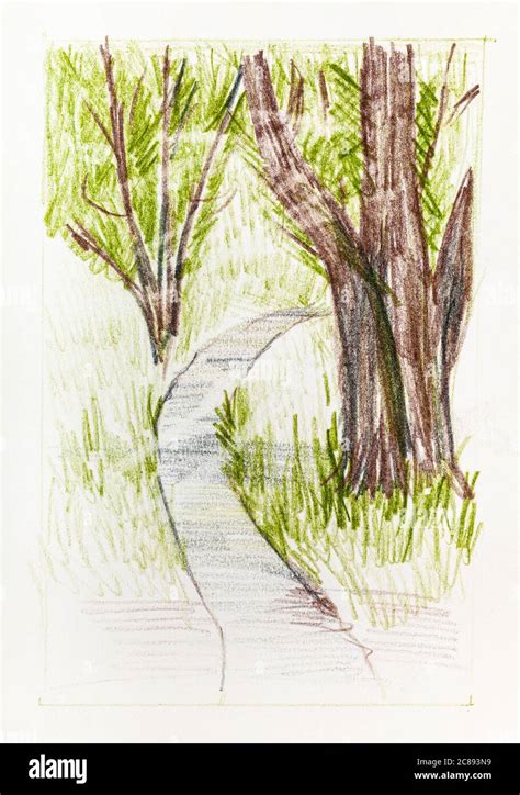 Sketch Of Pedestrian Path Between Trees In City Park In Summer Hand