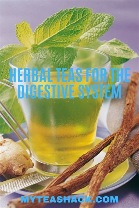 Herbal Teas For The Digestive System Tea For Digestion Best Herbal Tea Herbalism