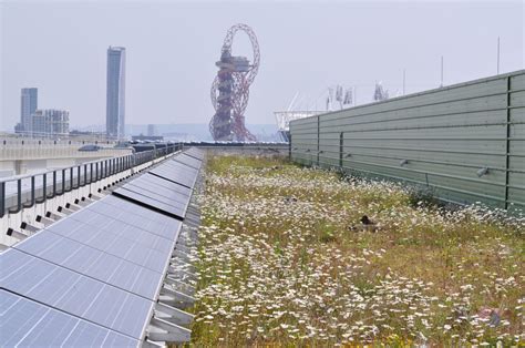 Green Roofs And Solar Power Solar Energy And Nature At Roof Level