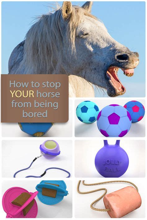 9 Best Toys For Horses Images Toys For Horses Horses Horse Diy