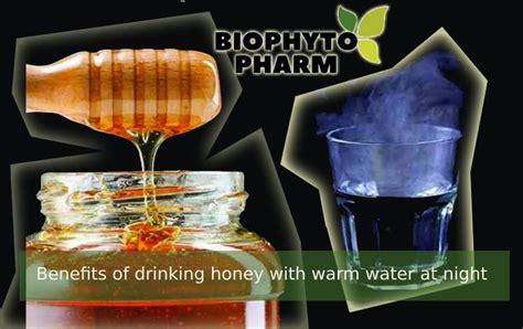 Top 10 Benefits Of Drinking Honey With Warm Water At Night Biophytopharm