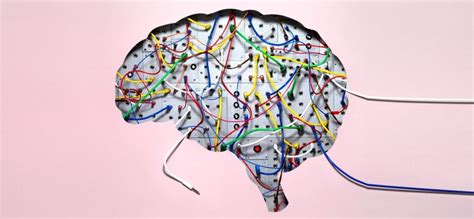 Rewiring The Brain And Whats Happening When Were Thinking Ourselves