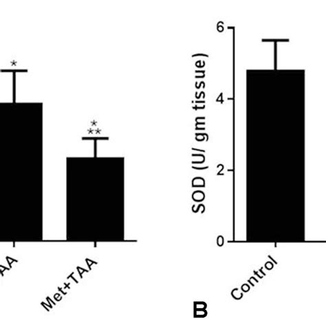 Metformin Inhibits Taa Caused An Induction Of Oxidative Stress And
