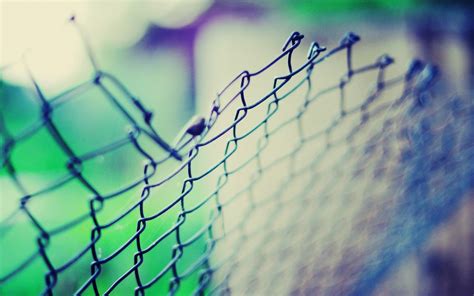 Selective Focus Photography Of Gray Chain Link Fence Hd Wallpaper