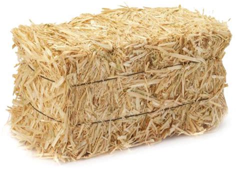 Straw Vs Hay Whats The Differencewells Brothers Pet