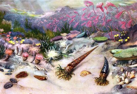 Pin By Jessica On Deep Sea Art Inspiration Prehistoric Animals