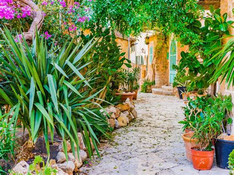 How To Create A Mediterranean Garden