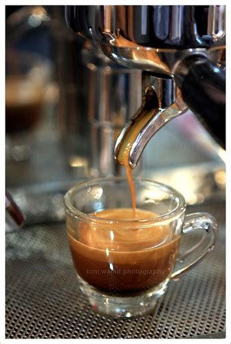 Perfect Espresso Shot Espresso Made Of La Vibiemme Domobar Flickr