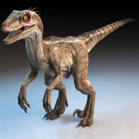 Raptor 3d Mundo Jurássico Arte Com Tema De Dinossauro Fotos De