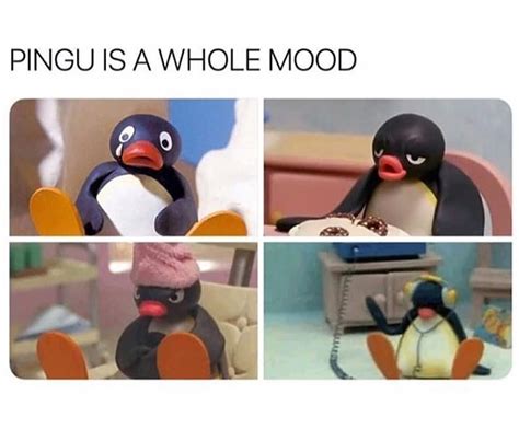 The Best Pingu Memes Daily🐧 On Instagram Follow Me For More Pingu