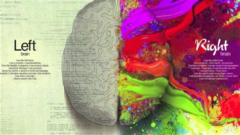 Left Brain Right Brain Wallpapers Wallpaper Cave