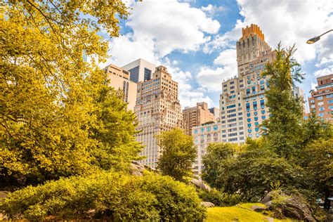 Central Park In New York Free Stock Photo Public Domain Pictures