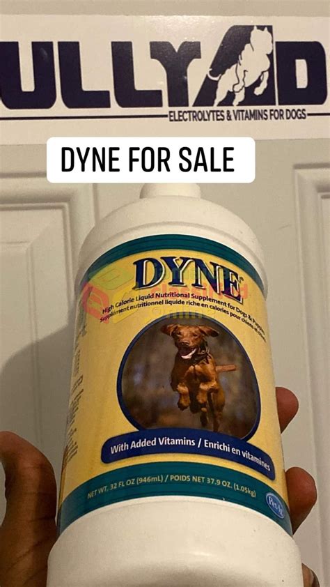 Easily administered by top dressing or mixing into water, it's loaded with vitamins, minerals and the extra calories needed to. Dyne For Dogs For Sale in Kingston Kingston St Andrew - Dogs