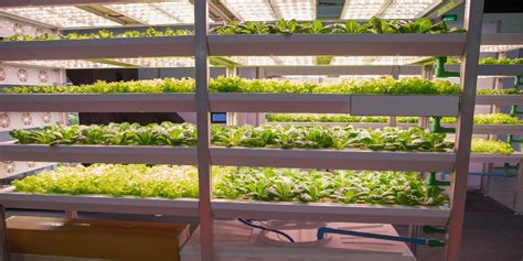 A Sustainable Solution Vertical Farming Using Grow Rooms Kps Global